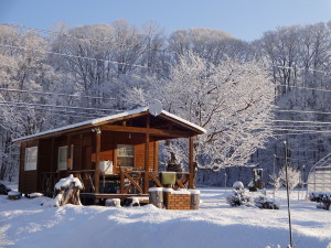 朝起きると、我が家の桜木の枝に雪が積もり、 真っ白くなってます！