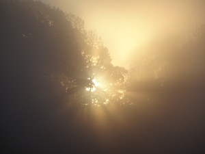 絶妙な朝霧で神々しく輝く朝日 （父の渾身の1枚！）